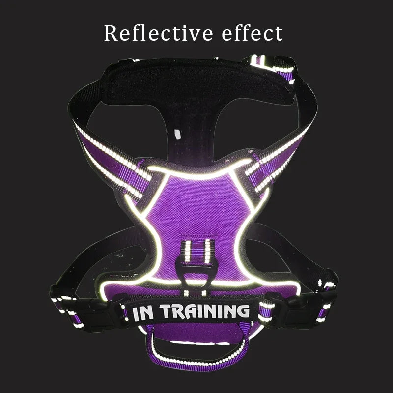 Nylon Dog Harness Vest - Reflective, Personalized, Breathable, and Adjustable for Small, Medium, and Large Dogs - Happy Tail Center