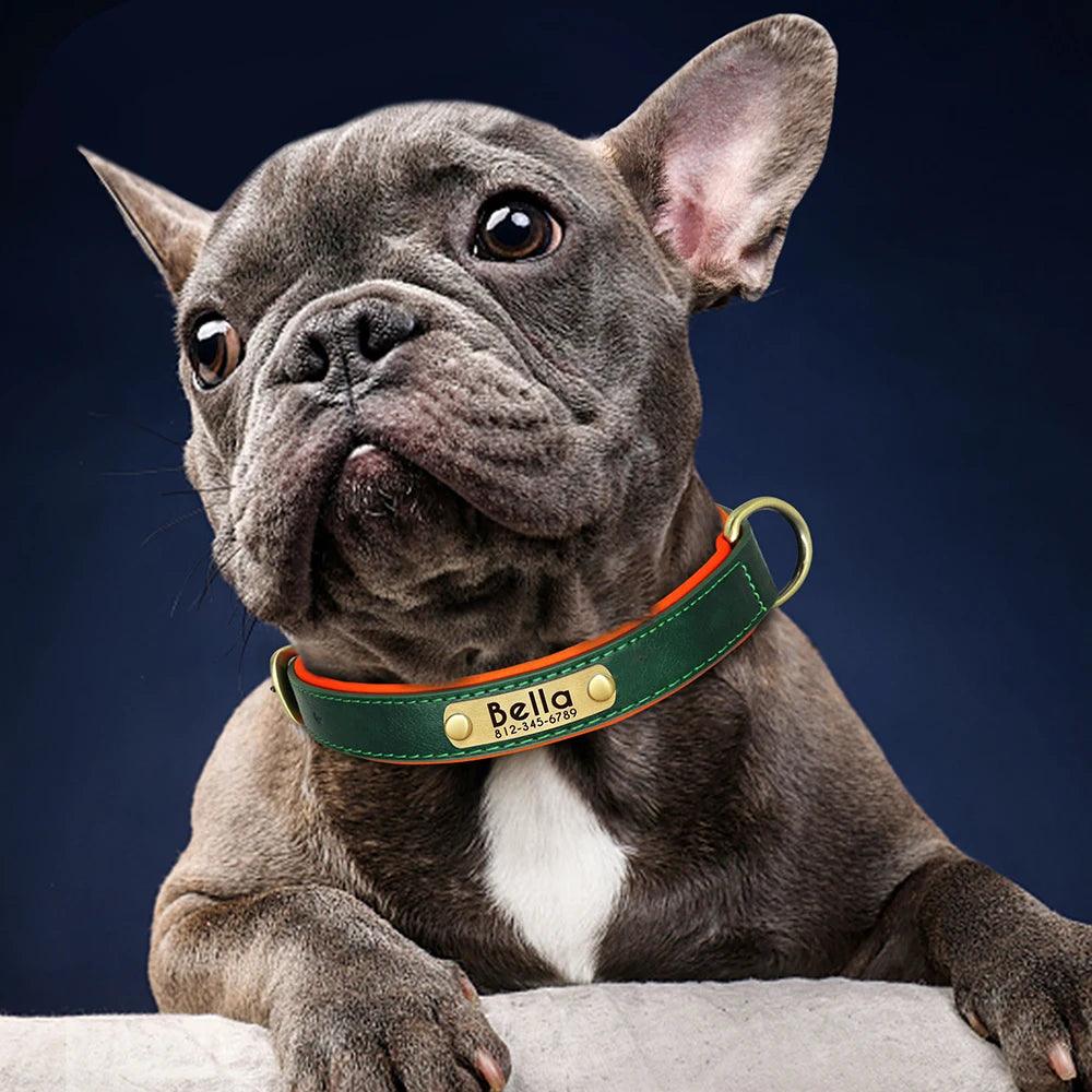 Soft Padded Leather Dog Collar with Customized ID Nameplate: Free Engraving - Happy Tail Center