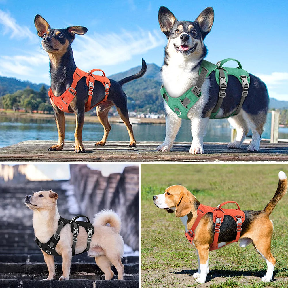 Reflective Nylon Dog Harness - Durable Adjustable Vest with Handle for Small, Medium, and Large Dogs - Happy Tail Center