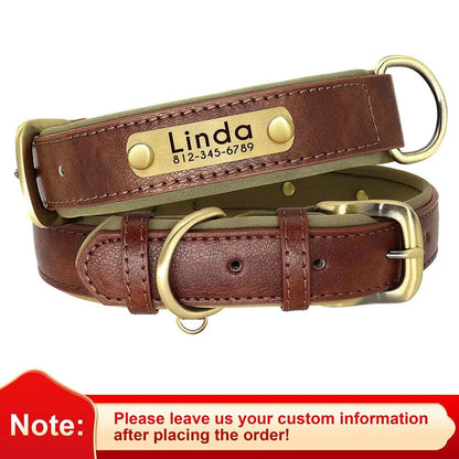 Soft Padded Leather Dog Collar with Custom ID Nameplate: Free Engraving - View 5 - Happy Tail Center