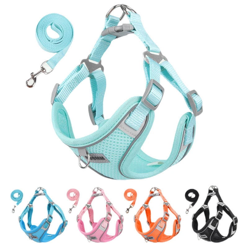 Reflective Dog Harness Leash Set | Chest Strap Vest for Small & Medium Dogs and Cats