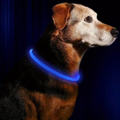 LED Anti-Lost Light-Up Dog Collar for Dogs and Puppies - View 9 - Happy Tail Center