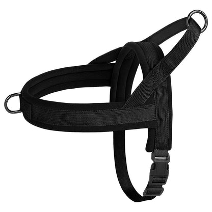 Adjustable Soft No-Pull Dog Harness: Padded Nylon Vest for Small to Medium Breeds - View 6 - Happy Tail Center