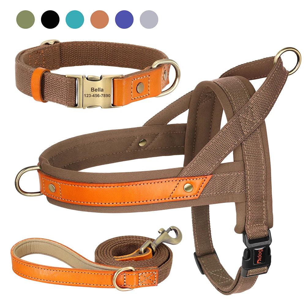 Nylon Dog Collar, Harness, and Leash Set – No Pull Design with Leather Accents for French Bulldogs - Happy Tail Center