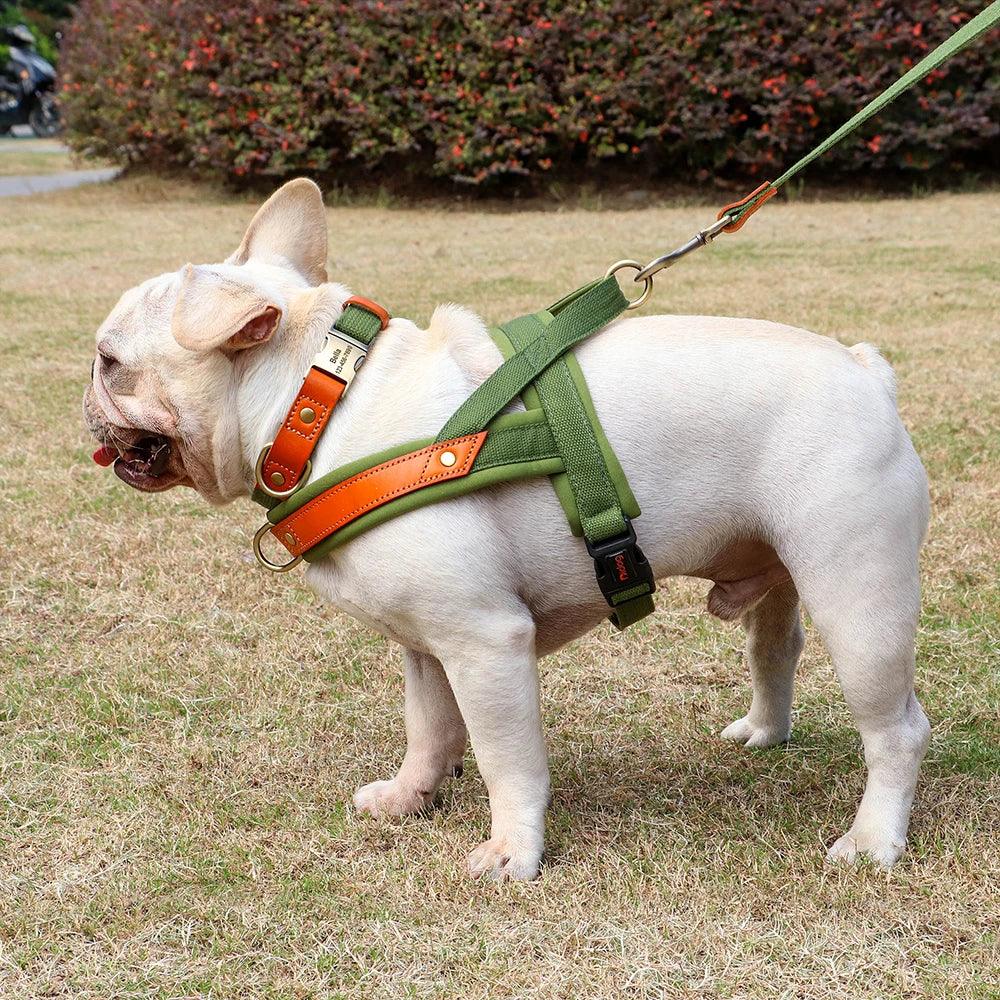 Nylon Dog Collar, Harness, and Leash Set – No Pull Design with Leather Accents for French Bulldogs - Happy Tail Center