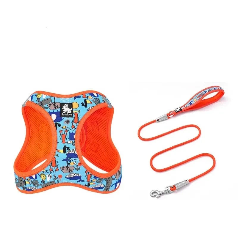 Floral Mesh Pet Harness & Leash Set – Soft, Durable, and Reflective! - Happy Tail Center