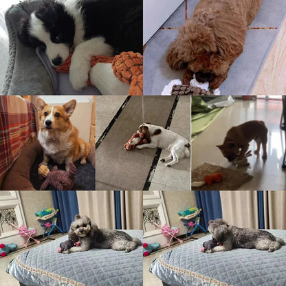 Cute Animal-Shaped Squeaky Plush Dog Toys - Bite-Resistant Corduroy for All Dogs - View 3 - Happy Tail Center