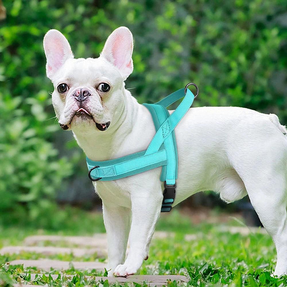 Adjustable Soft No-Pull Dog Harness | Padded Nylon Vest for Small to Medium Breeds - Happy Tail Center