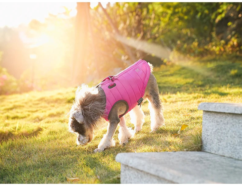 Warm and Cozy Pet Dog Jacket with 3M Thinsulate™ Lining - Happy Tail Center