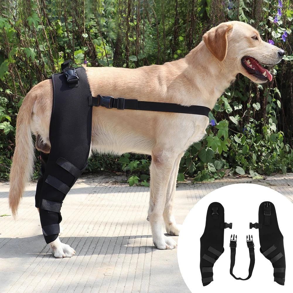 Dog Leg Brace - Support & Protection for German Shepherds' Surgical Joints - Happy Tail Center