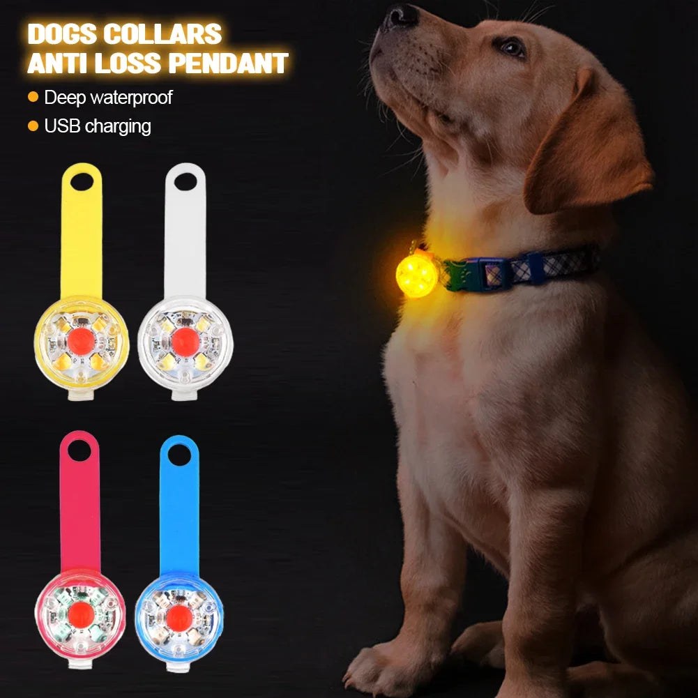 LED Waterproof Safety Collar - USB Rechargeable Anti-Loss Flashing Light for Dogs and Cats