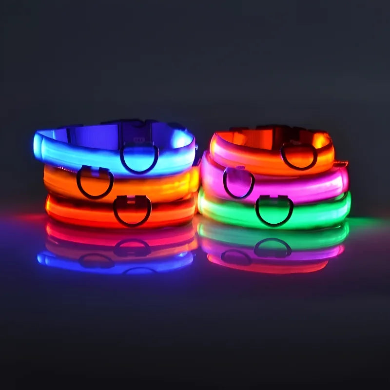 LED Nylon Dog Collar - Night Safety Light-Up Collar for Dogs