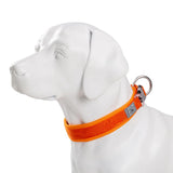 Adjustable Padded Pet Dog Collar: Comfort, Ventilation, and Personalized