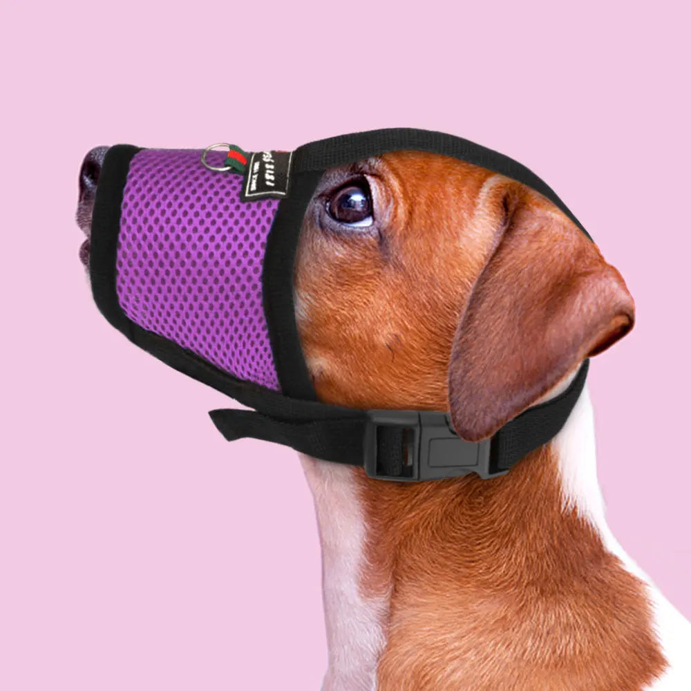 Mesh Breathable Dog Muzzle – Anti-Biting Nylon Training Muzzle for Dogs - Happy Tail Center