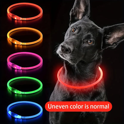LED Anti-Lost Light-Up Dog Collar for Dogs and Puppies - Happy Tail Center