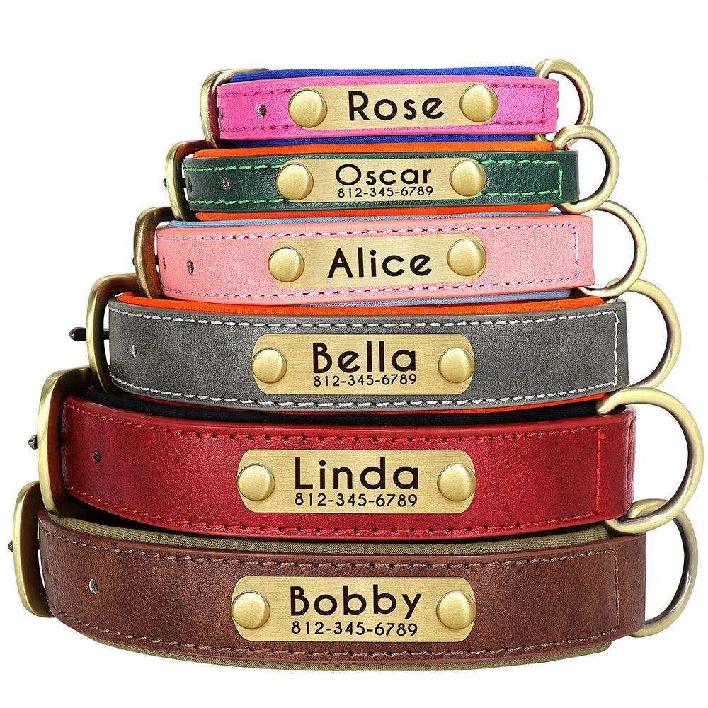 Soft Padded Leather Dog Collar with Customized ID Nameplate: Free Engraving - Happy Tail Center