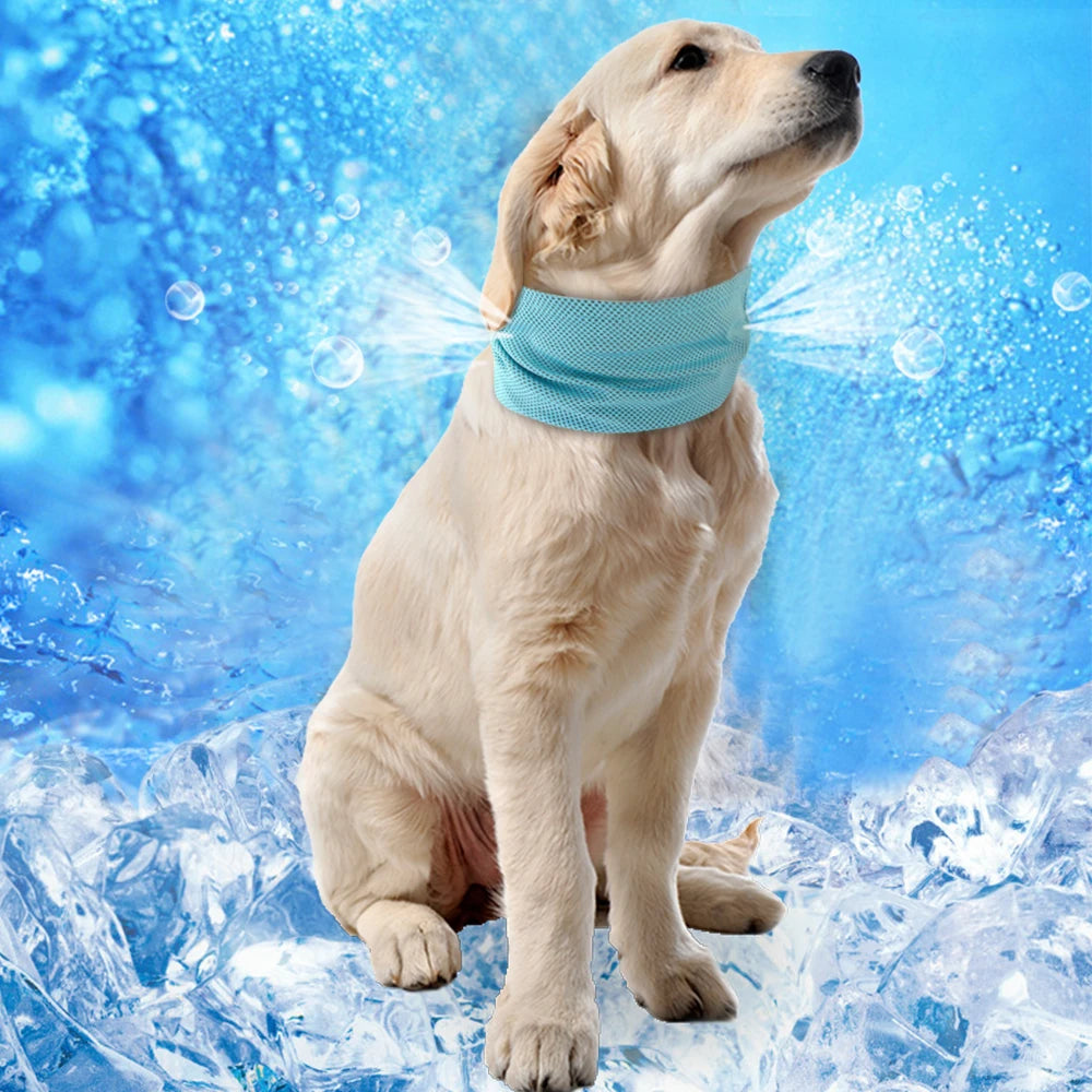 Cooling Dog Collar - Instant Ice Pet Bandana for Small Dogs, Chihuahua, French Bulldog