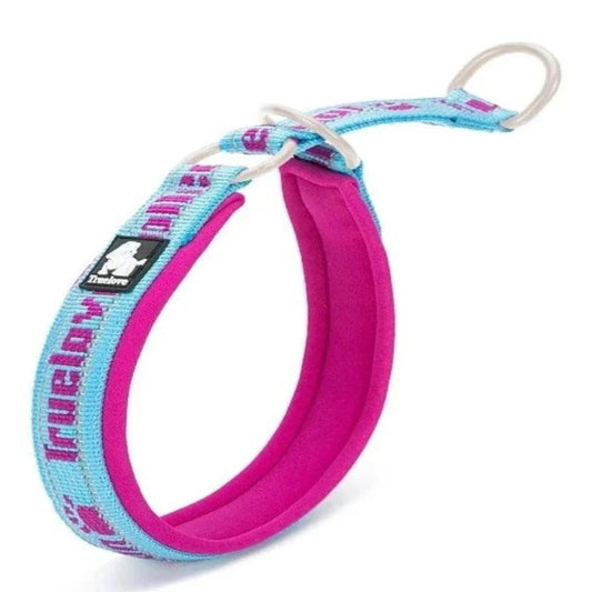 P-Chain Nylon Pet Collar Explosion-proof For Dog and Cat Travel - Happy Tail Center