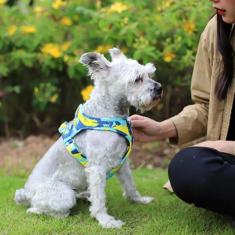 Dog & Cat Harness Adjustable Vest | Walk Your Pet in Comfort and Style - Happy Tail Center