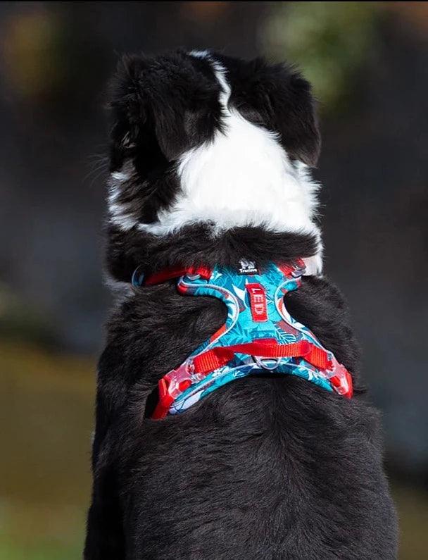 Split Dog Fashion: Pet Harnesses for Small, Medium, and Large Breeds - Happy Tail Center