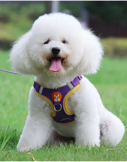 Adjustable Flannel Harness and Leash Set for Small Dogs - Reflective and Breathable - Happy Tail Center (View 14)