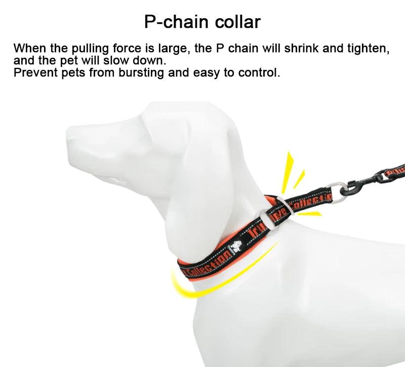 P-Chain Nylon Pet Collar Explosion-proof For Dog and Cat Travel - Happy Tail Center