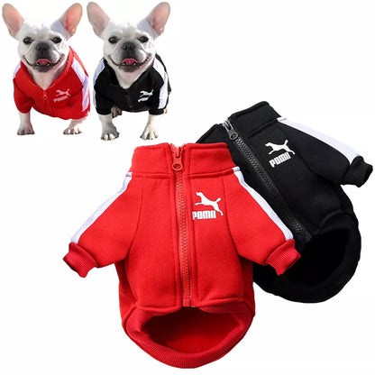 Baseball Dog Jacket - Winter Vest for Small and Medium Dogs - Happy Tail Center