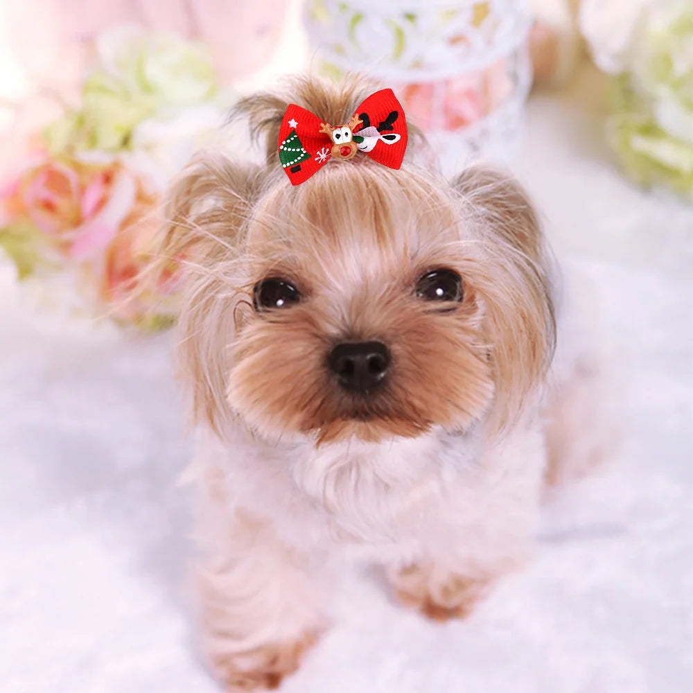 10 Pcs Christmas Pet Bows – Festive Flower and Bowknot Hair Accessories for Dogs and Cats - Happy Tail Center