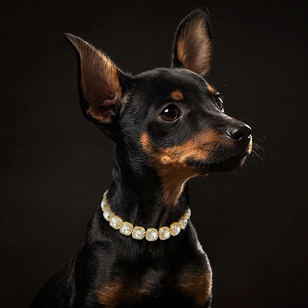 Luxury Bling Diamond Dog & Cat Chain Collar – Sparkle in Style! - Happy Tail Center