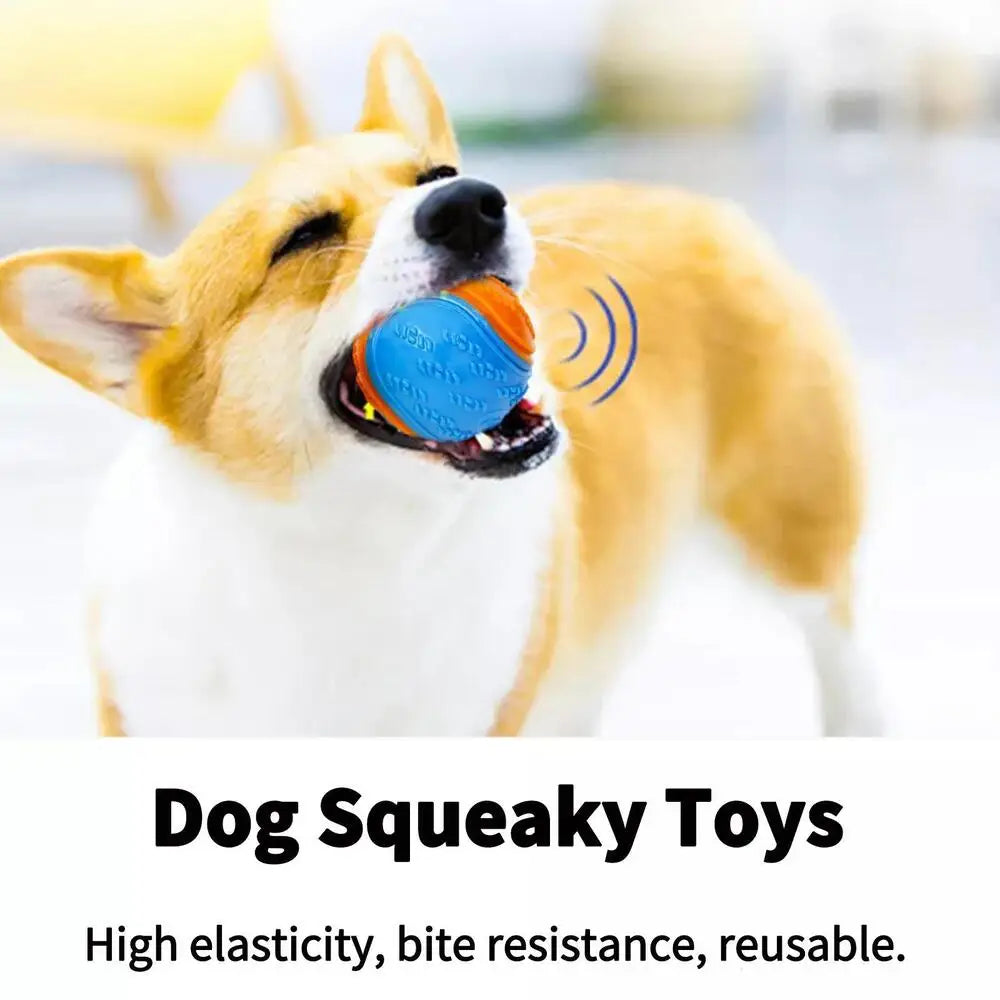 Durable Squeaky Rubber Chew Ball Toy for Dogs | Bouncy & Bite-Resistant