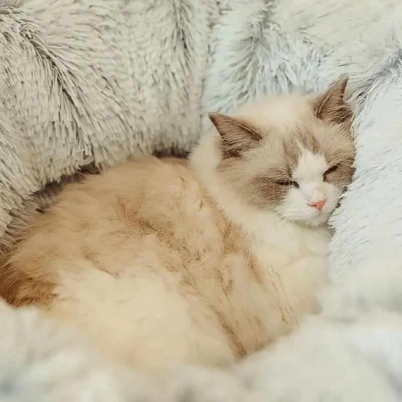 Plush Cat Bed with Tunnel - Multifunctional Cat Tunnel Bed with Peephole, Fluffy Donut Cat Bed - Happy Tail Center