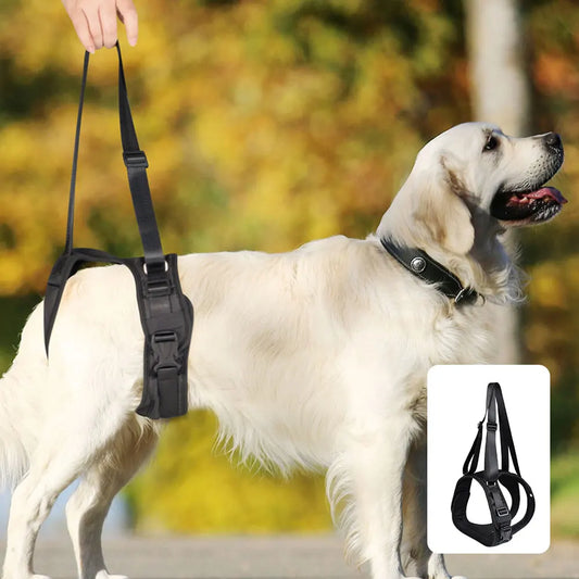 Dog Split Lift Harness with Lead – Back Legs and Hip Support for Small, Medium, and Large Dogs - Happy Tail Center