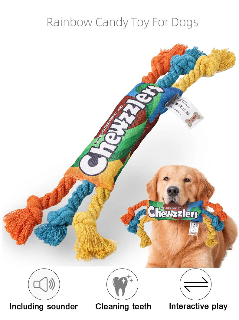 Squeaky Pet Dog Chew Toy – Ideal for Molar Training - Happy Tail Center