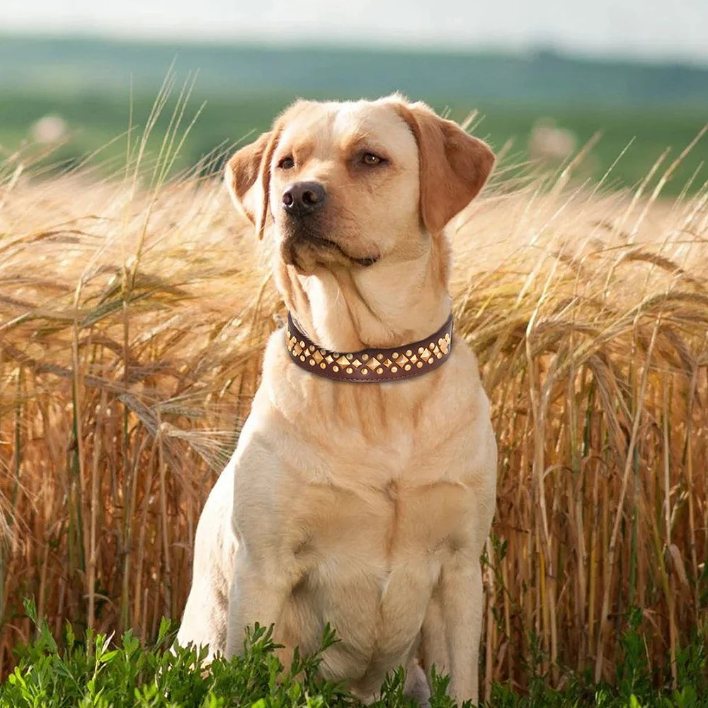 Cool Spiked Studded Leather Dog Collar - Adjustable for Pitbulls, Bulldogs, Boxers, Labs, and More - Happy Tail Center