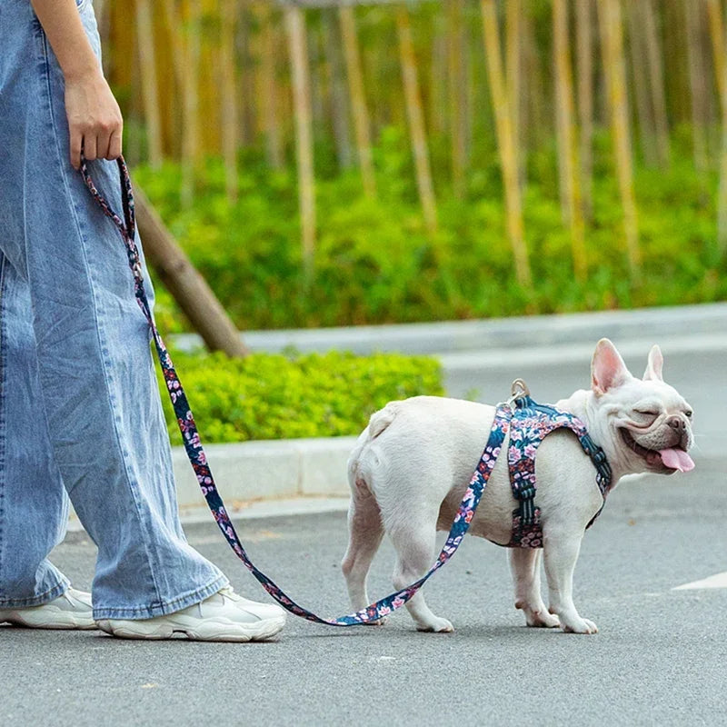 Floral Pet Leash with Padded Handle - Traffic Control for Dogs and Cats