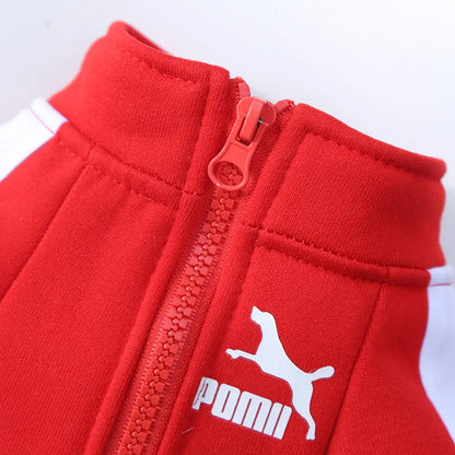 Baseball Dog Jacket - Winter Vest for Small and Medium Dogs - Happy Tail Center (View 5)