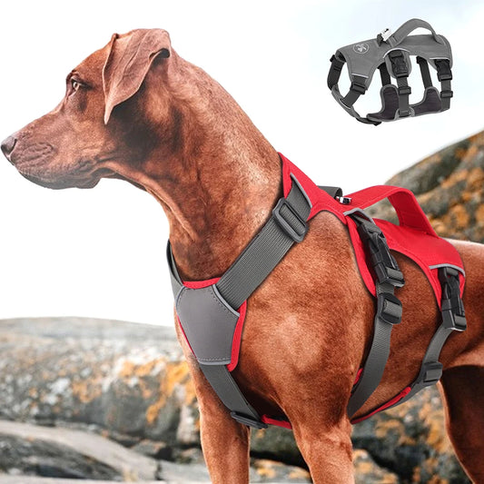 No Pull Reflective Nylon Dog Harness - Adjustable Waterproof Mesh Vest with Handle for Small to Large Dogs - Happy Tail Center