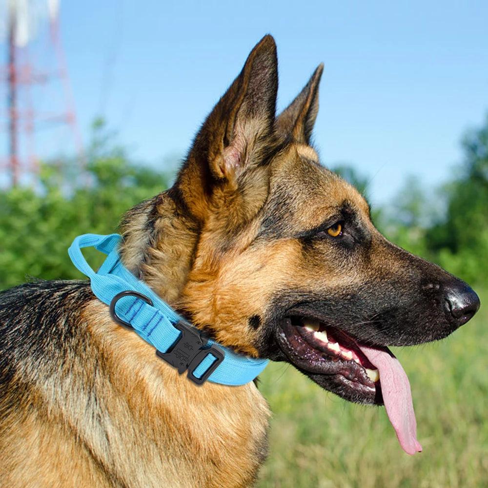 Durable Nylon Tactical Dog Collar for Large Breeds | Strong Collar & Bungee Leash Set - Happy Tail Center