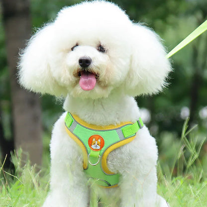 Adjustable Flannel Harness and Leash Set for Small Dogs - Reflective and Breathable - Happy Tail Center (View 2)