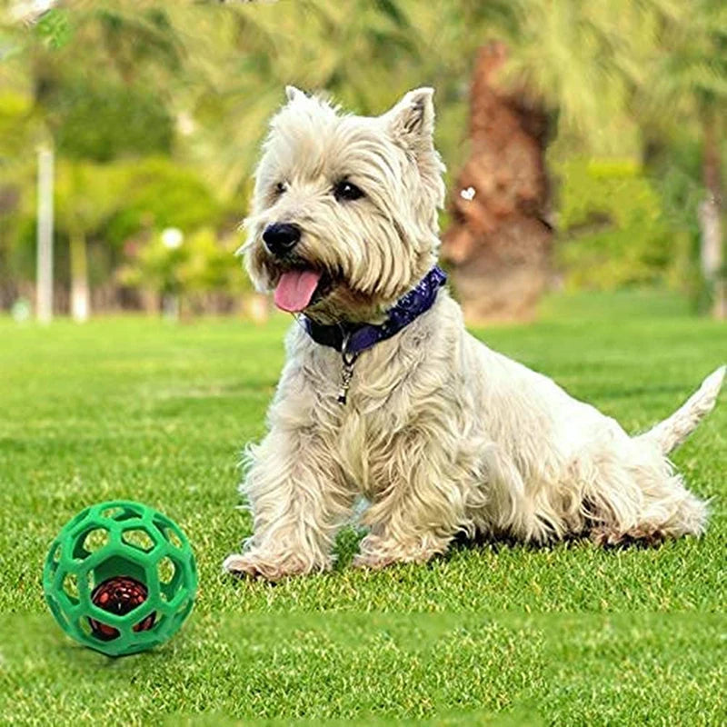 Hollow Sniffing Ball Dog Toy | Slow Feeder for Small & Medium-Sized Dogs