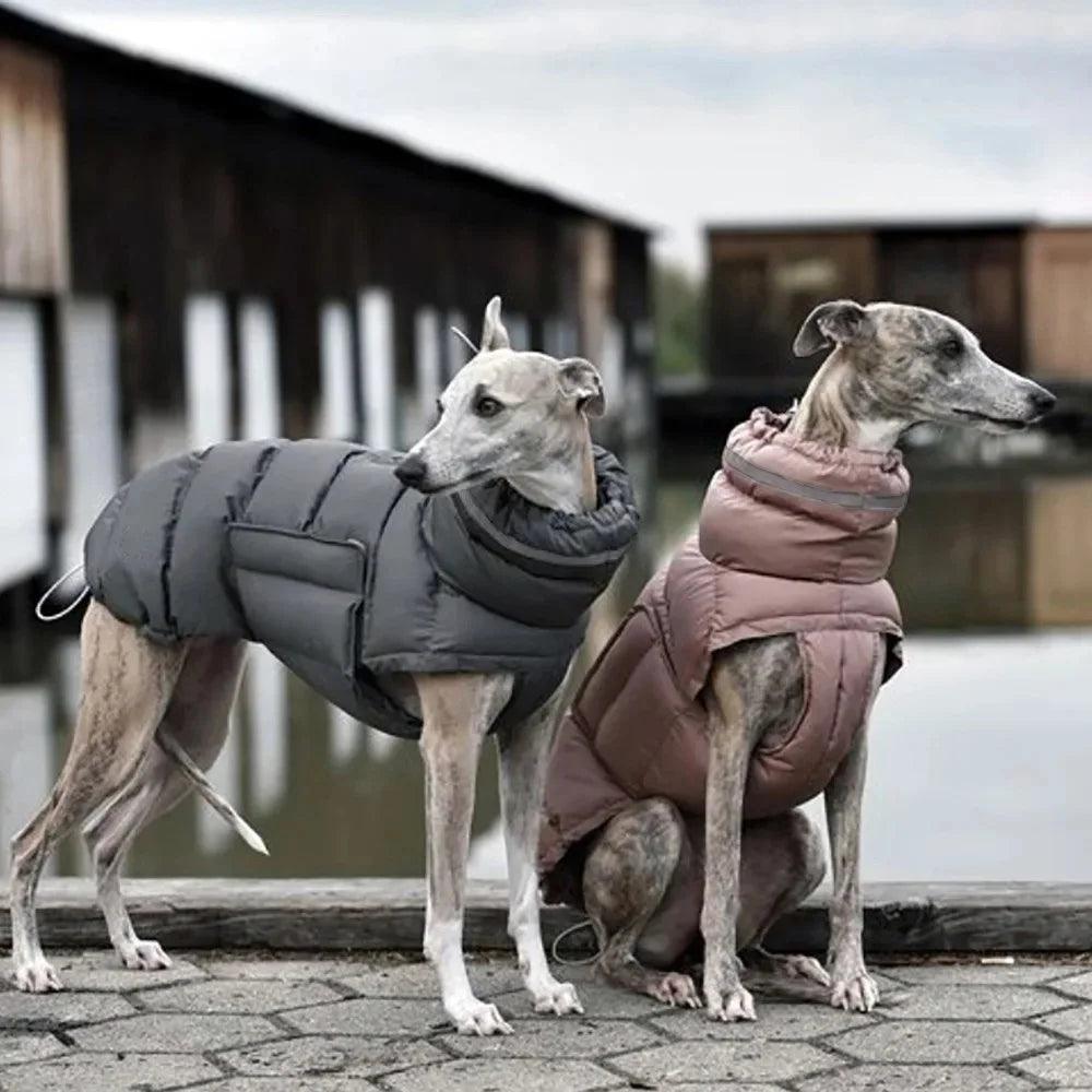 Winter Adjustable Dog Down Jacket - Windproof and Waterproof - Happy Tail Center