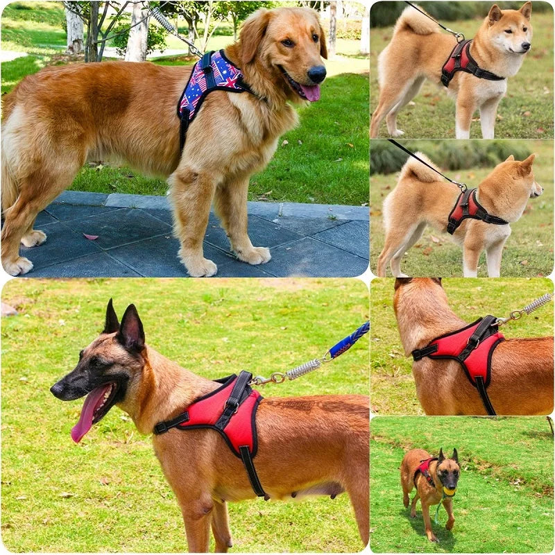 No Pull Dog Harness and Leash Set - Adjustable Walking Vest for Small, Medium, and Large Dogs - Ideal for German Shepherds - Happy Tail Center