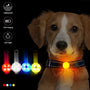 LED Glow USB Rechargeable Night Safety Collar for Dogs & Cats