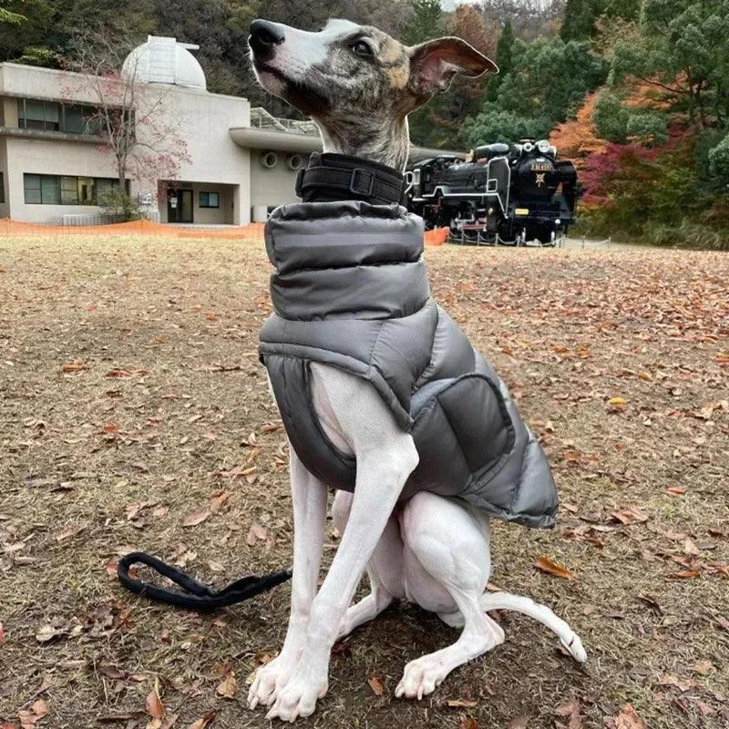 Winter Adjustable Dog Down Jacket - Windproof and Waterproof - Happy Tail Center