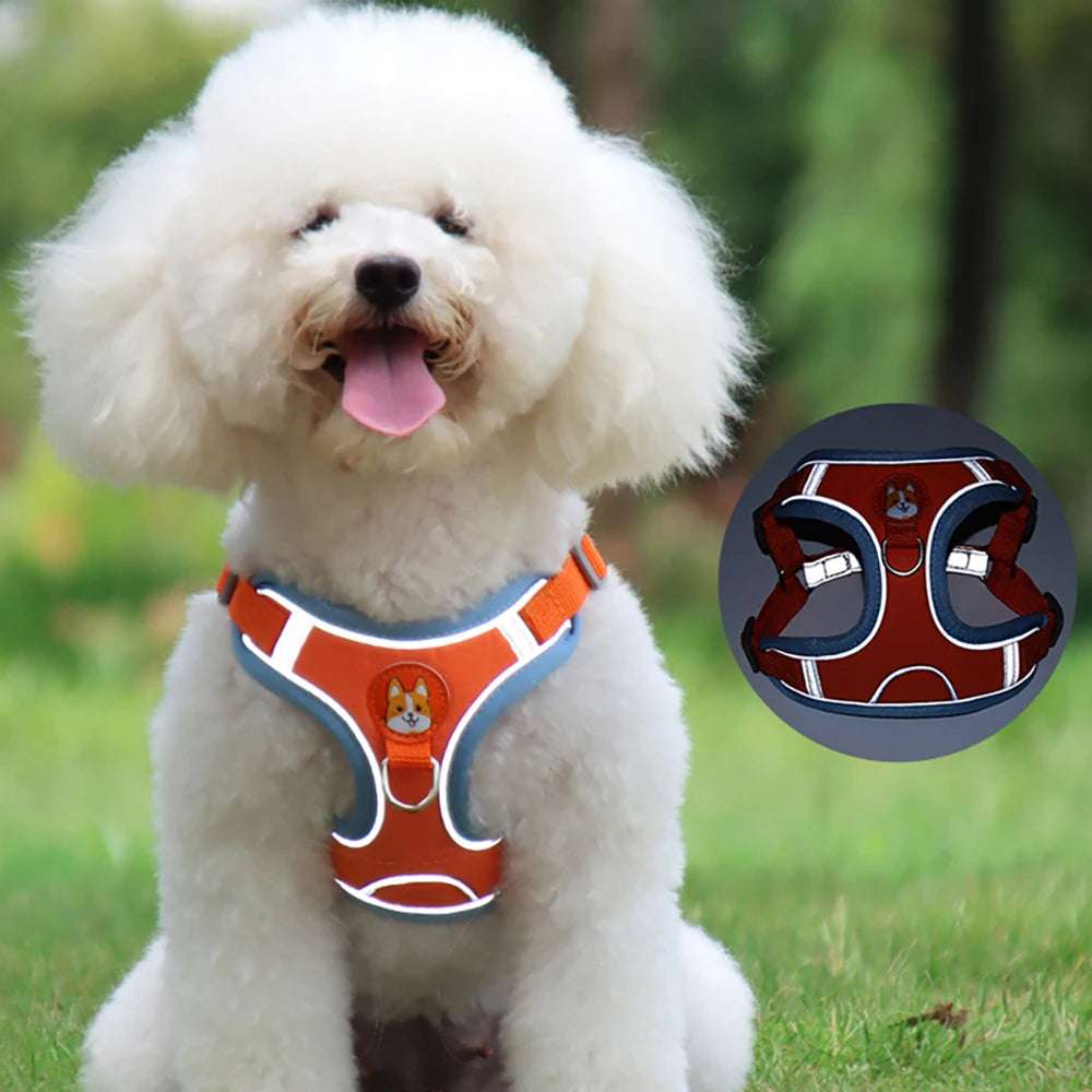 Adjustable Harness Leash Set for Small & Medium Dogs | Reflective Vest for Pet Walking