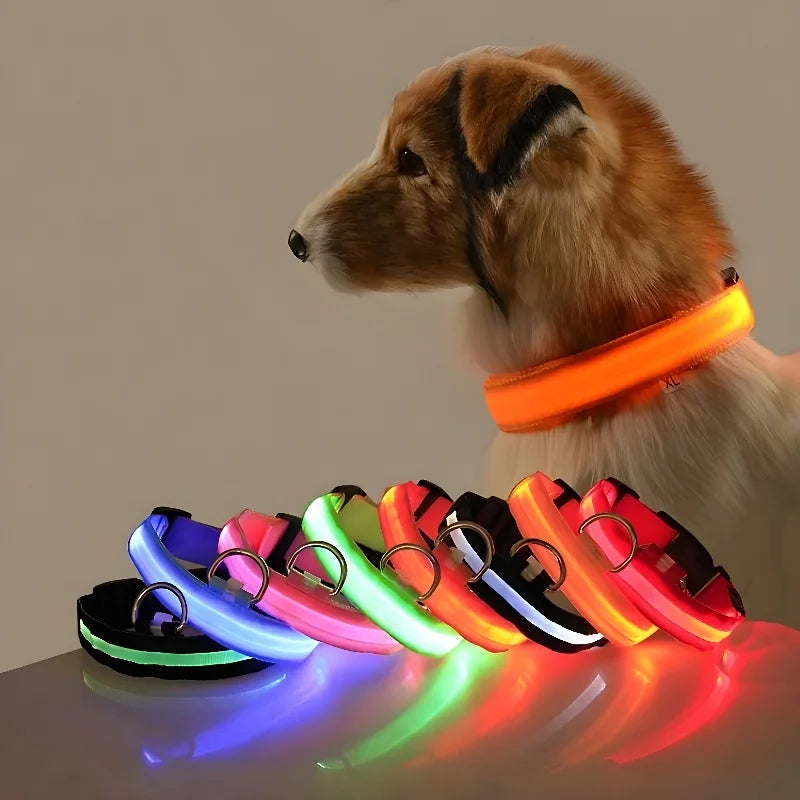 LED Nylon Dog Collar - Night Safety Light-Up Collar for Dogs