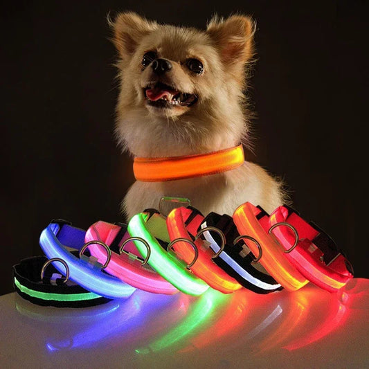 USB Charging LED Dog Collar | Safety Night Light Flashing Necklace for Dogs