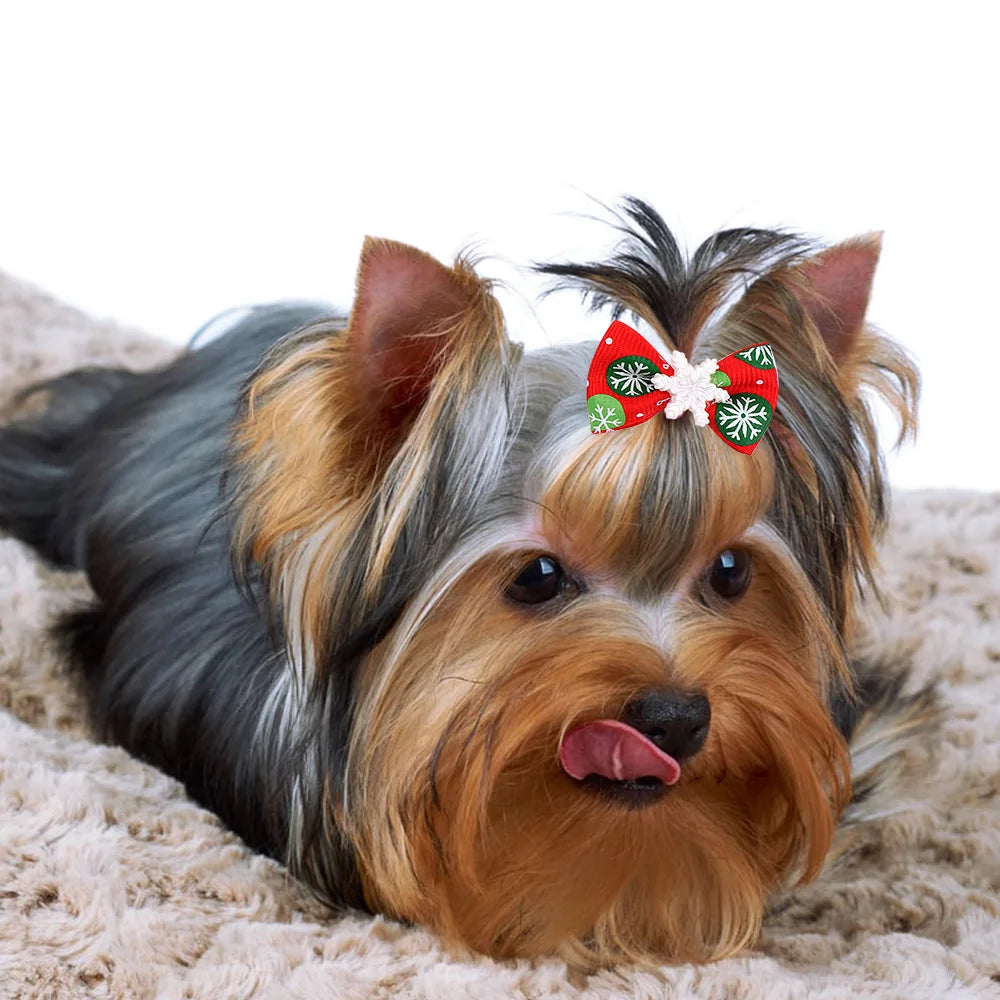 10 Pcs Christmas Pet Bows – Festive Flower and Bowknot Hair Accessories for Dogs and Cats - Happy Tail Center