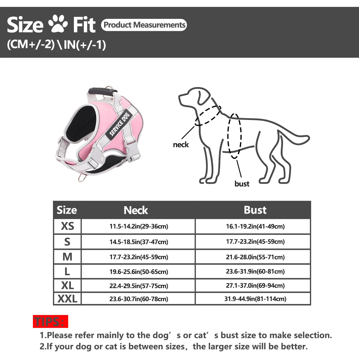 Reflective Letter Graphic Pet Harness for Dogs - Outdoor Safety