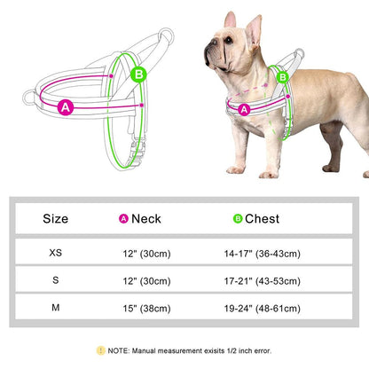 Adjustable Soft No-Pull Dog Harness: Padded Nylon Vest for Small to Medium Breeds - View 3 - Happy Tail Center